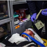 ChitoSAM™ 100 Haemostatic Dressing